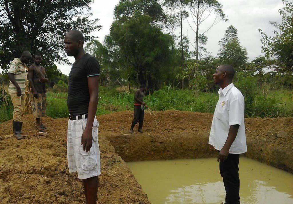 business plan for fish farming in uganda