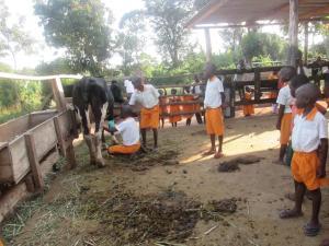 Learning Organic Farming