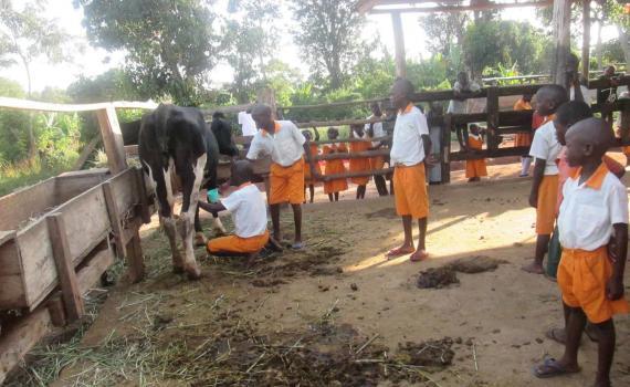 Learning Organic Farming