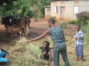 Agriculture activities - organic farming and feeding animals