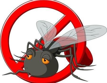 stop mosquito cartoon